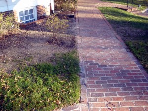 Brick Pavers Re-set after Sewer Line Replaced